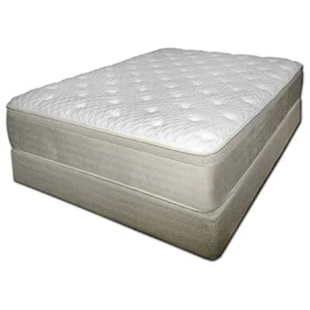 Queen Plush Coil on Coil Mattress and Chattam and Wells Tan Foundation